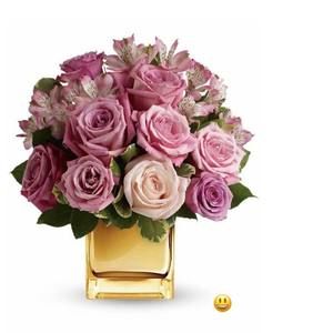 Meet your Posher, María elena